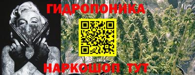 ГАЛЛЮЦИНОГЕННЫЕ ГРИБЫ Рузаевка