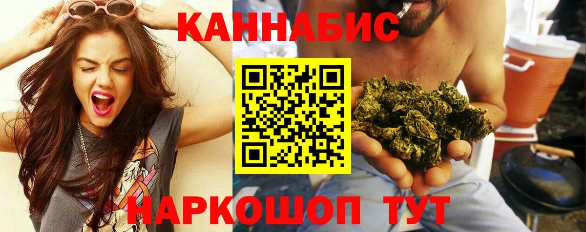 Конопля OG Kush Партизанск